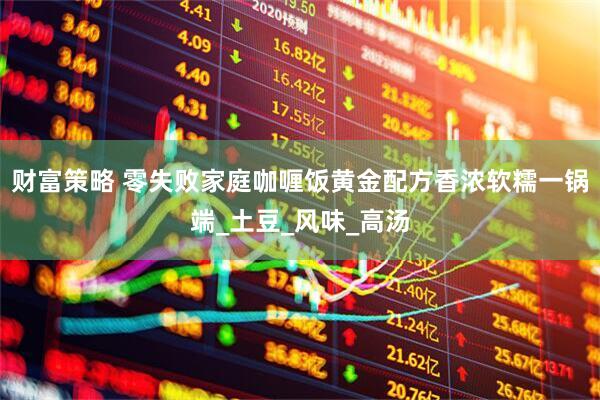 财富策略 零失败家庭咖喱饭黄金配方香浓软糯一锅端_土豆_风味_高汤