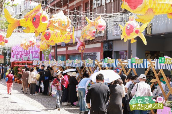 趣炒股 建设最佳实践地 文明创建新作为丨嘉定依托“片区互学互践”机制打造观摩线路