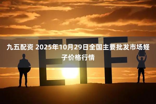 九五配资 2025年10月29日全国主要批发市场蛏子价格行情