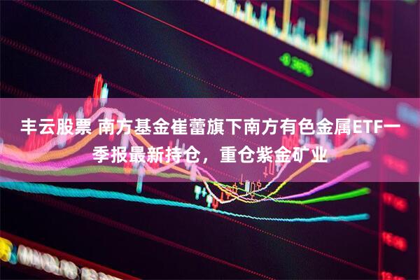 丰云股票 南方基金崔蕾旗下南方有色金属ETF一季报最新持仓，重仓紫金矿业
